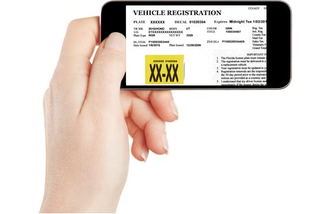 renew multiple vehicles