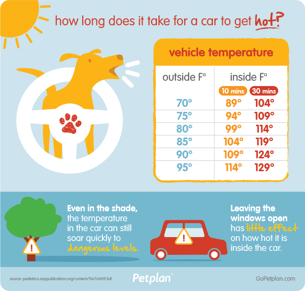 Pets in Hot Cars