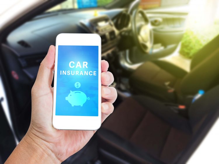  Florida Auto Insurance Requirements for Vehicle Owners 