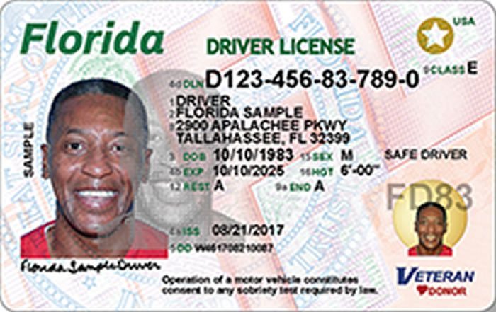 Florida Driver's License Design (Front)