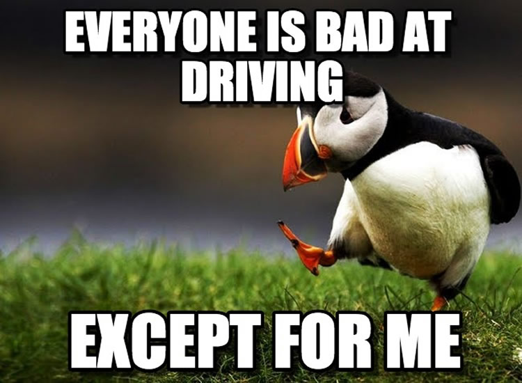 Wholesome, Funny Driving Memes