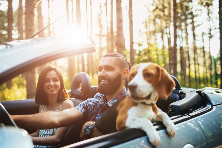 Car Tag Renewal & Vehicle Registration Renewal