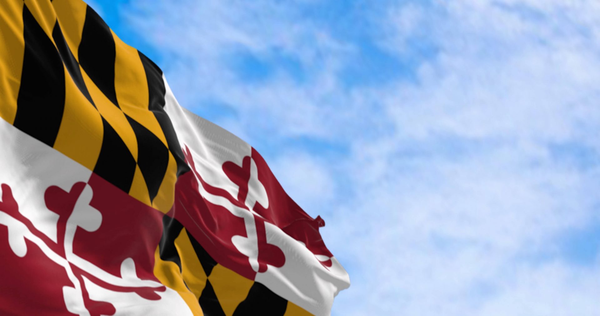 State of Maryland Flag