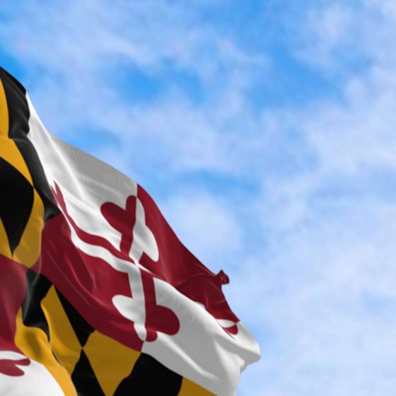 State of Maryland Flag