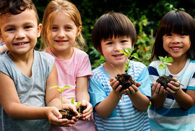 Children learning about agriculture