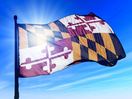 MD flag