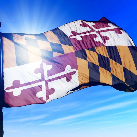 MD flag