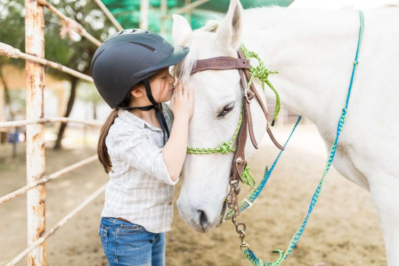 Little girl kissing horse