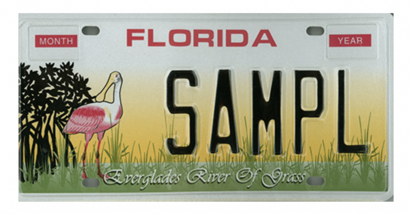 Everglades River specialty plate