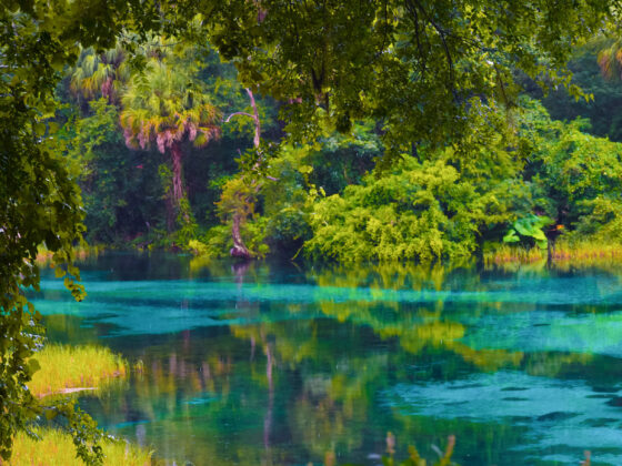 Florida Springs