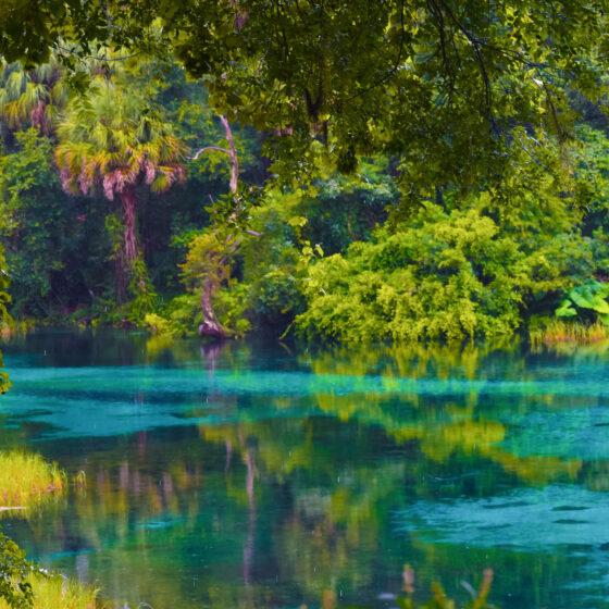 Florida Springs