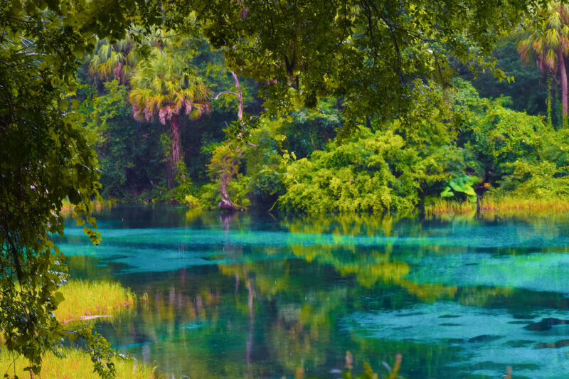 Florida Springs