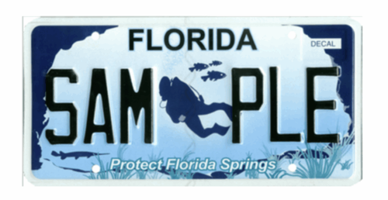 Protect FL Springs Plate