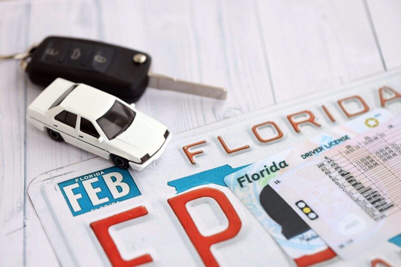 FL license and registration 