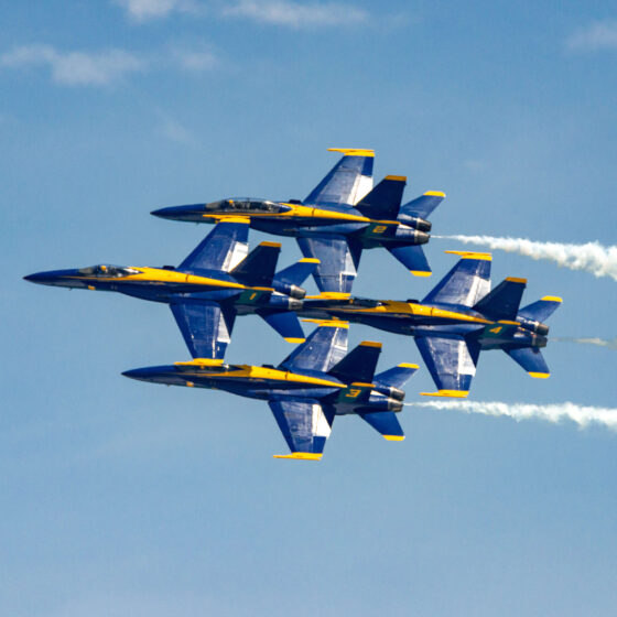 The Blue Angels