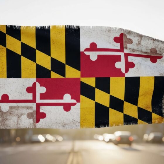 Maryland state flag