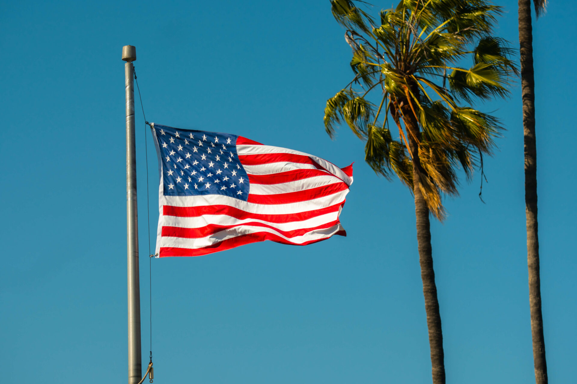 American flag and palm tree
