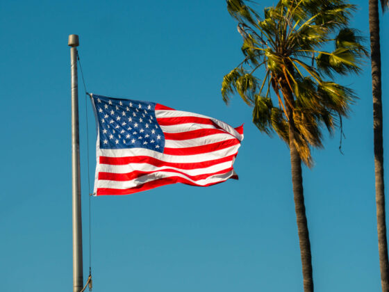 American flag and palm tree