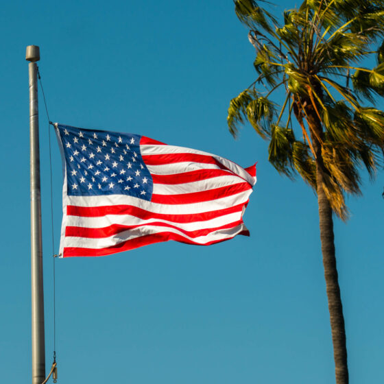 American flag and palm tree