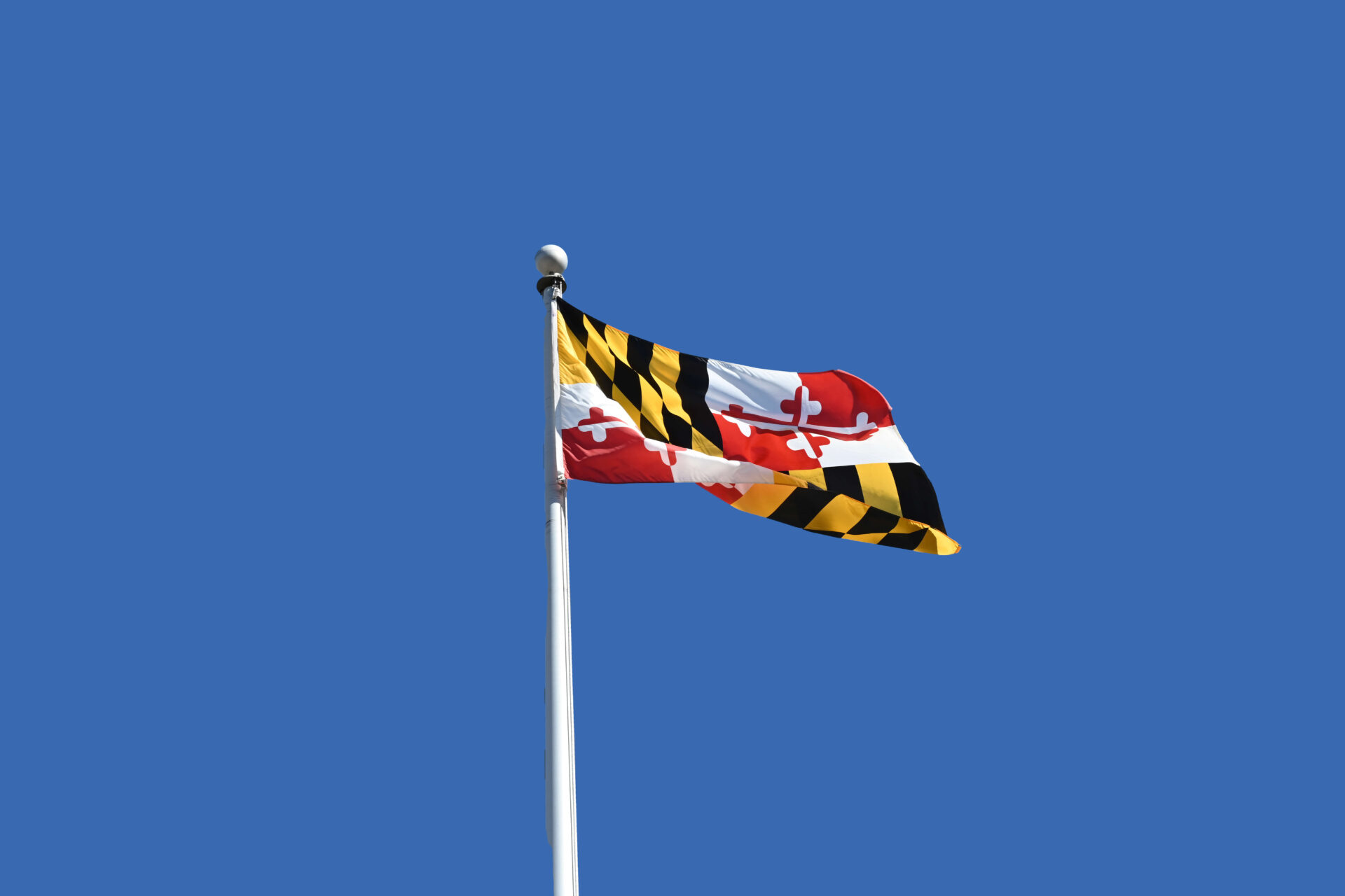 Maryland flag
