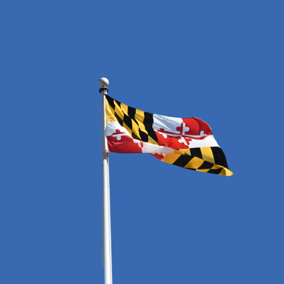 Maryland flag
