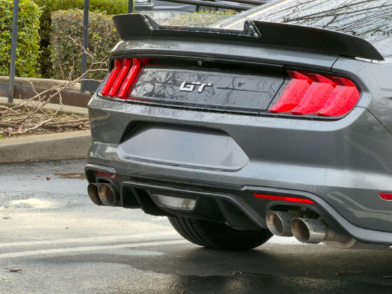 Missing license plate
