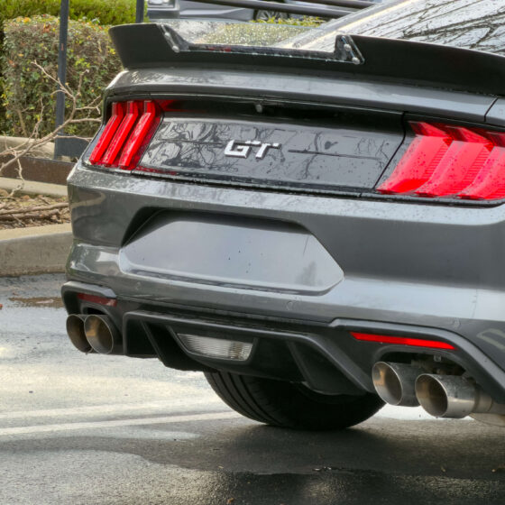 Missing license plate