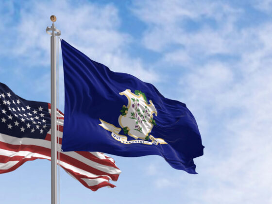 Connecticut state flag