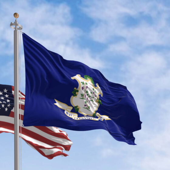 Connecticut state flag