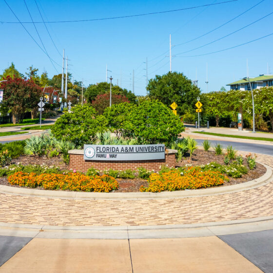 Florida A&M University