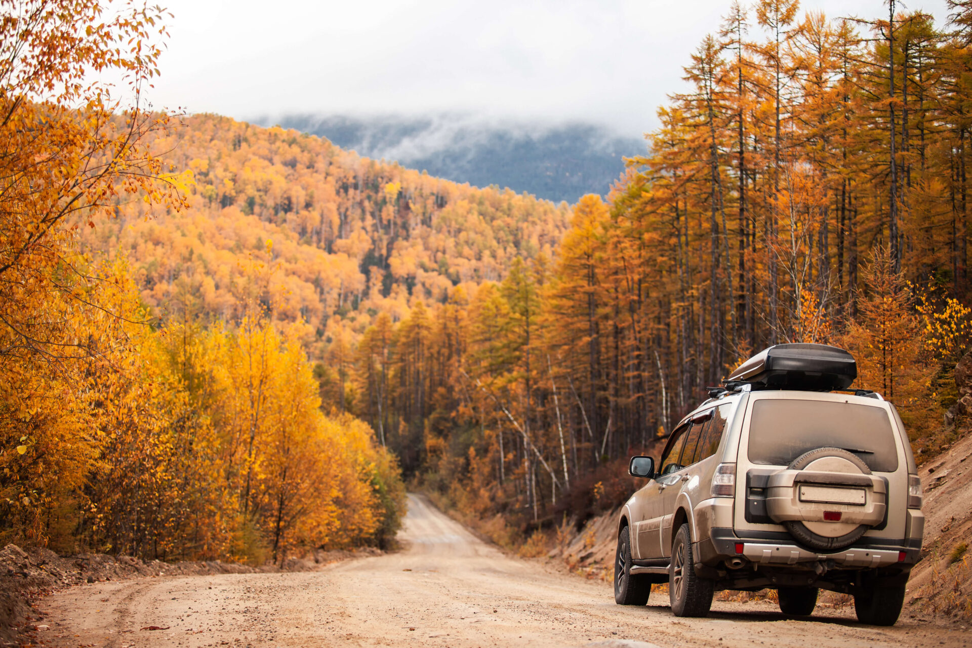 Car in autumn