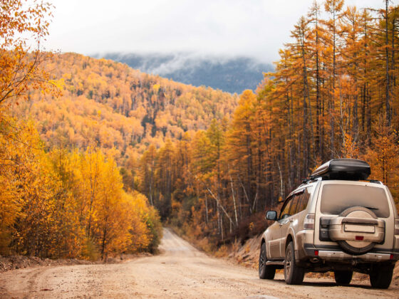Car in autumn