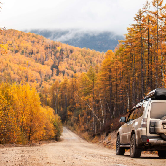 Car in autumn
